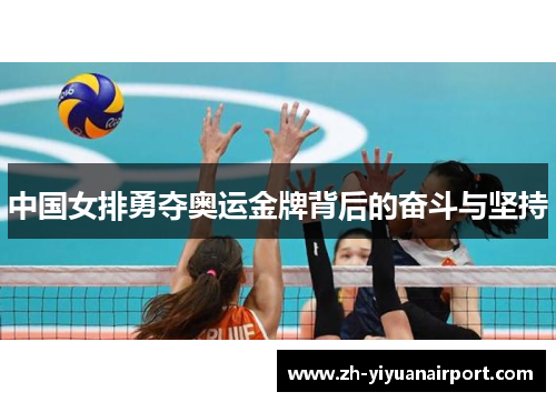 中国女排勇夺奥运金牌背后的奋斗与坚持